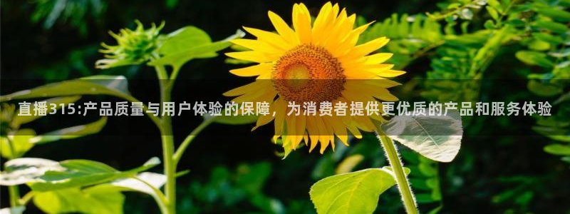 绿茵直播免费看球直播